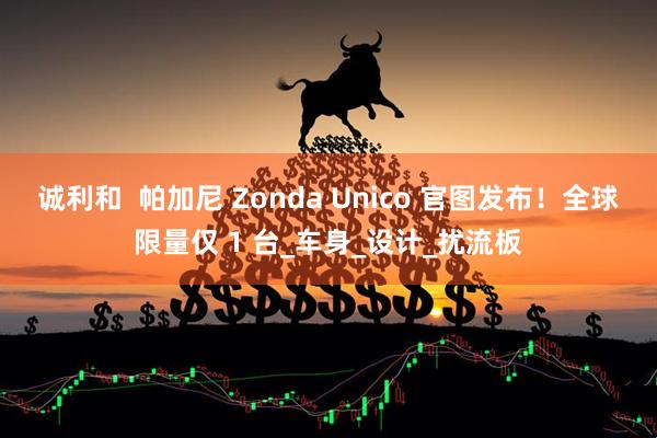 诚利和  帕加尼 Zonda Unico 官图发布！全球限量仅 1 台_车身_设计_扰流板