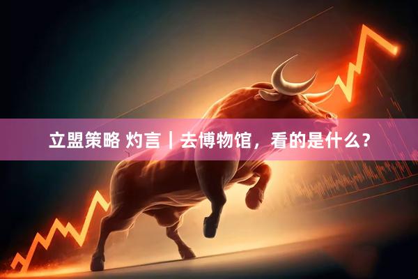立盟策略 灼言｜去博物馆，看的是什么？