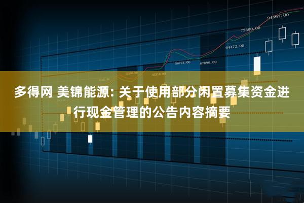 多得网 美锦能源: 关于使用部分闲置募集资金进行现金管理的公告内容摘要