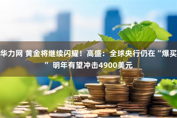 华力网 黄金将继续闪耀!高盛:全球央行仍在“爆买” 明年有望冲击4900美元