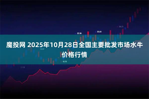 魔投网 2025年10月28日全国主要批发市场水牛价格行情