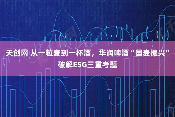 天创网 从一粒麦到一杯酒,华润啤酒“国麦振兴”破解ESG三重考题